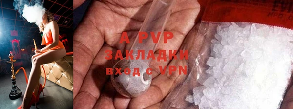 прущие грибы Липки