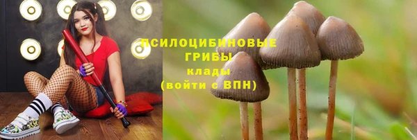 мескалин Великий Новгород
