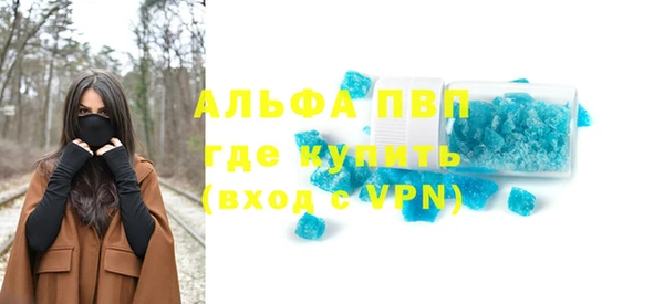 прущие грибы Липки