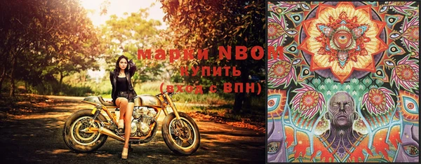 прущие грибы Липки