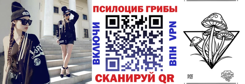 магазин  наркотиков  Шадринск  Псилоцибиновые грибы Cubensis 