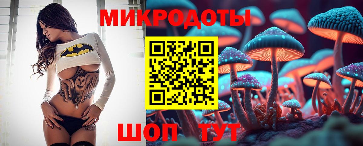 Галлюциногенные грибы Cubensis Шадринск